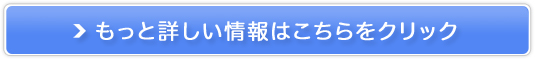 j^[TCgyJapamoniz̔TCg